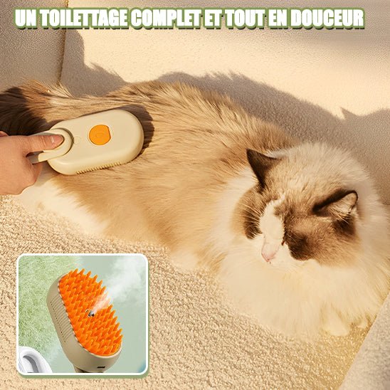 nettoyagechats™️ - Brosse avec diffuseur - Kit du CHAT