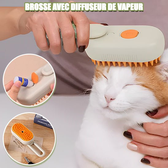 nettoyagechats™️ - Brosse avec diffuseur - Kit du CHAT